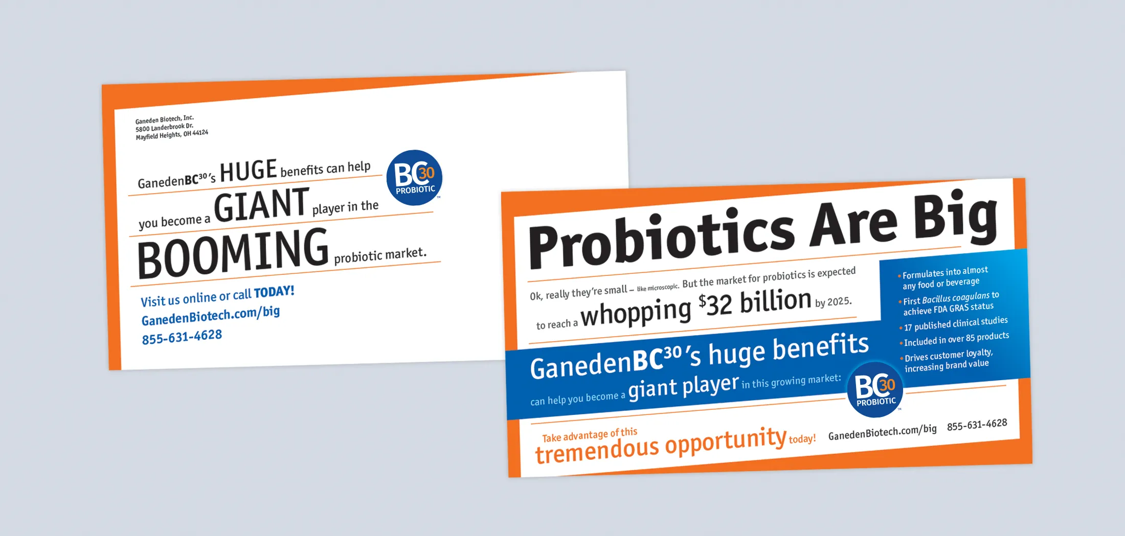 BC30 marketing direct mailer